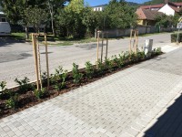 /album/exteriery-ine/a14720403-1830512173899545-7641897097651015326-n-jpg/